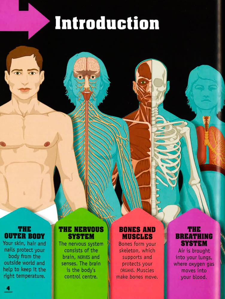 50 Things You Should Know About The Human Body