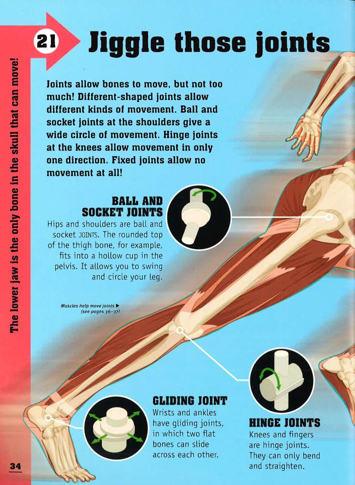 50 Things You Should Know About The Human Body