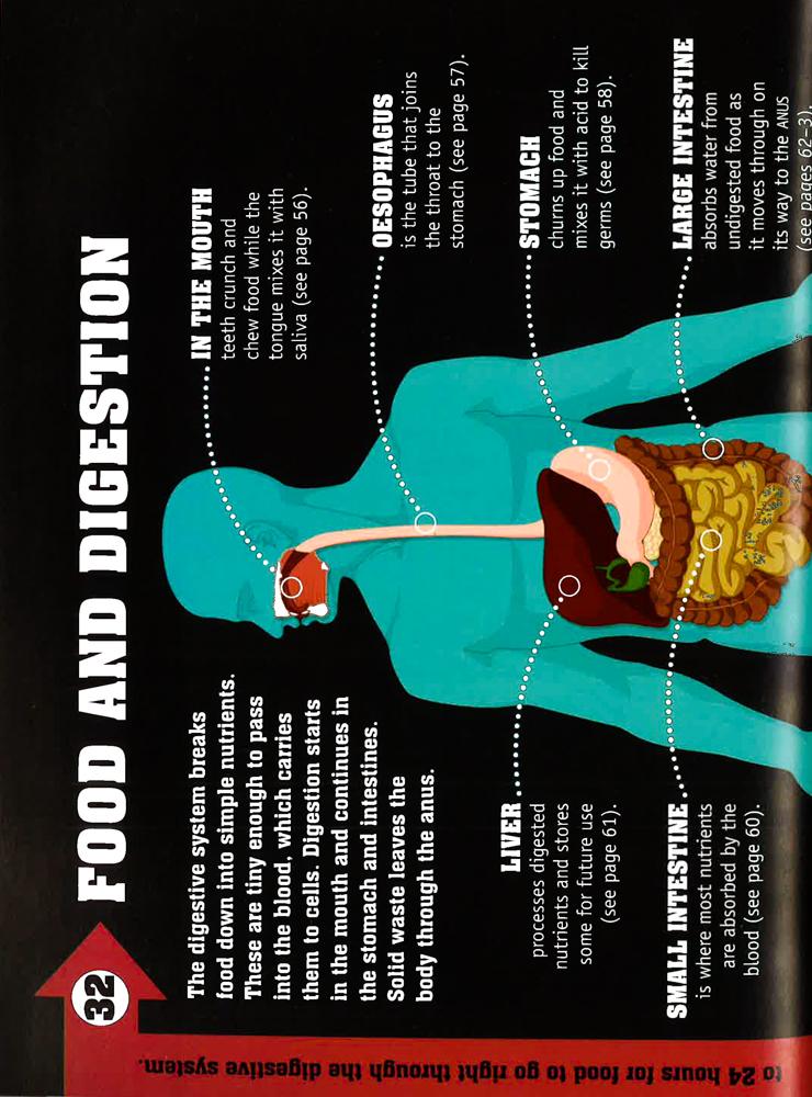 50 Things You Should Know About The Human Body