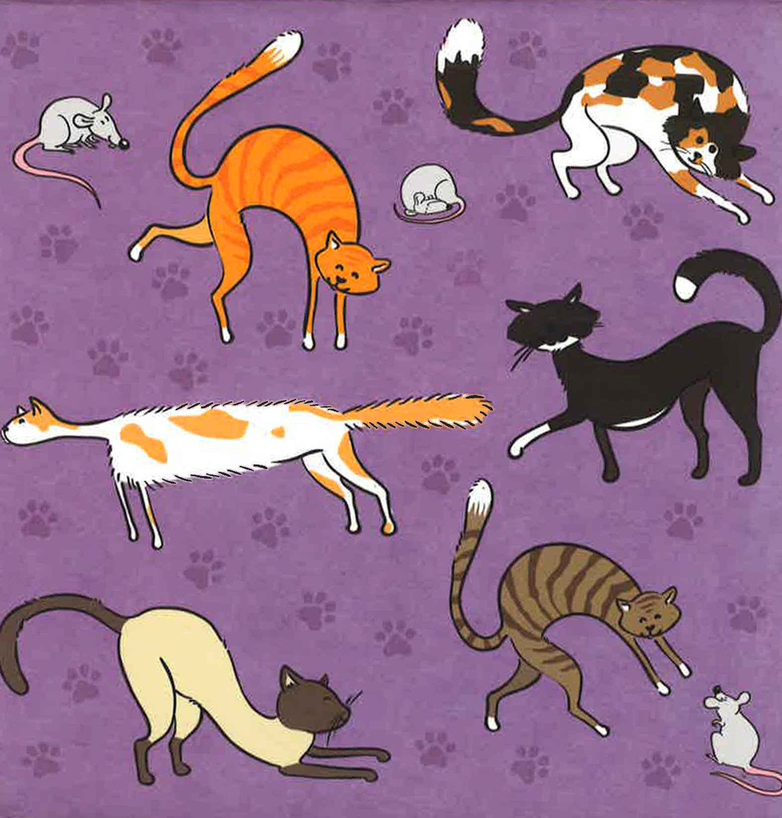 Crazy Cats 2017 Desk Calendar