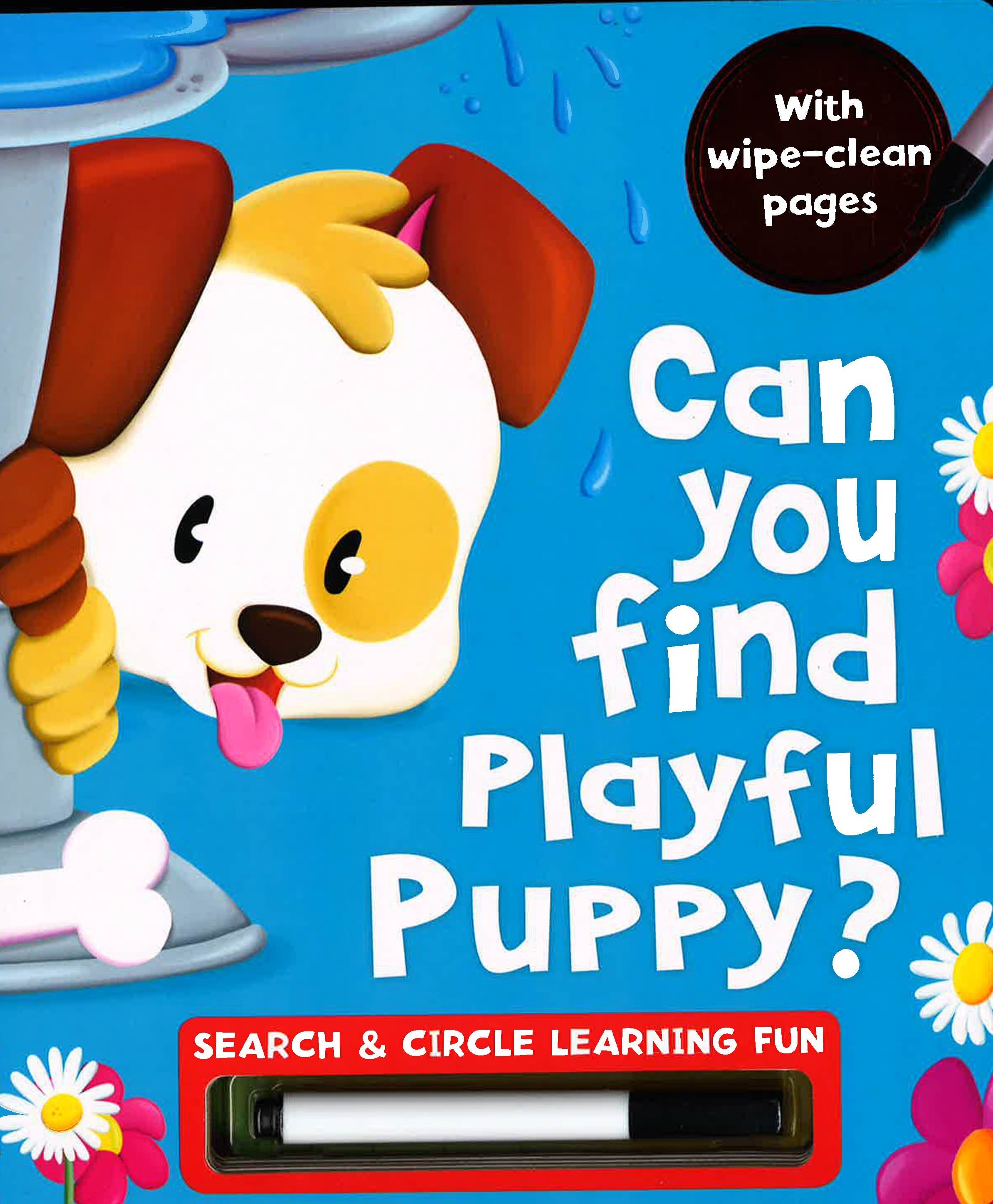Search & Seek Wipe Clean: Can You Find Playful Puppy?