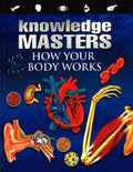 How Our Body Works