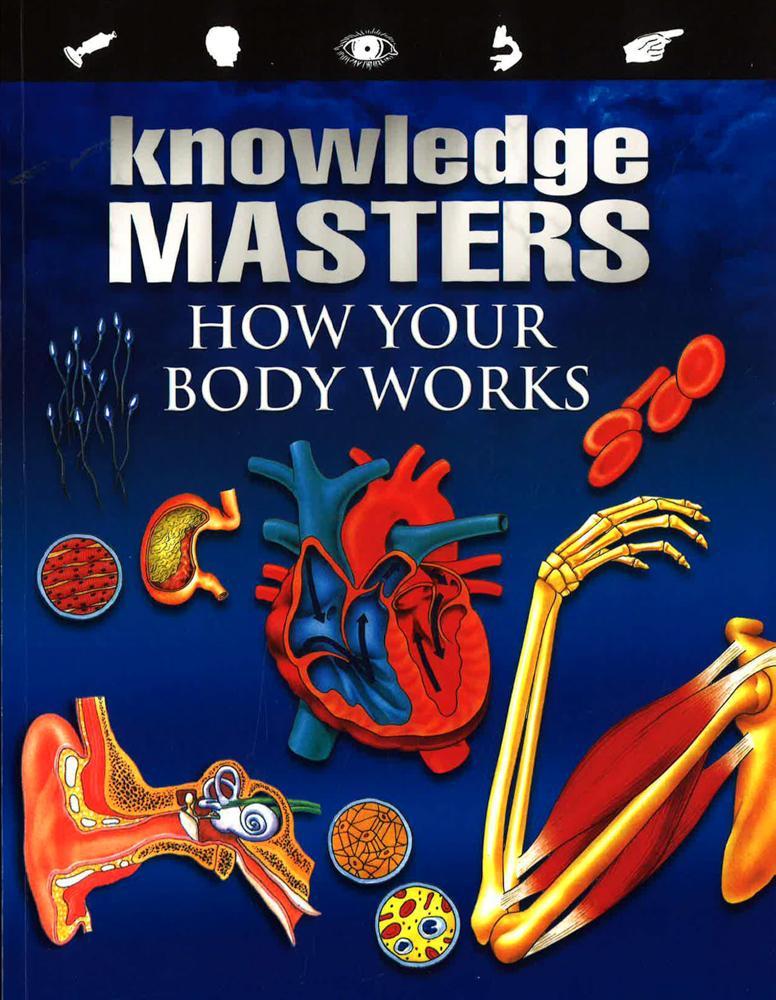 How Our Body Works