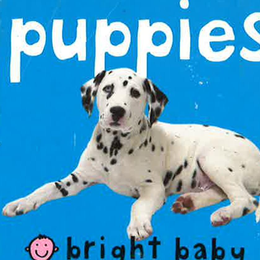 Puppies
