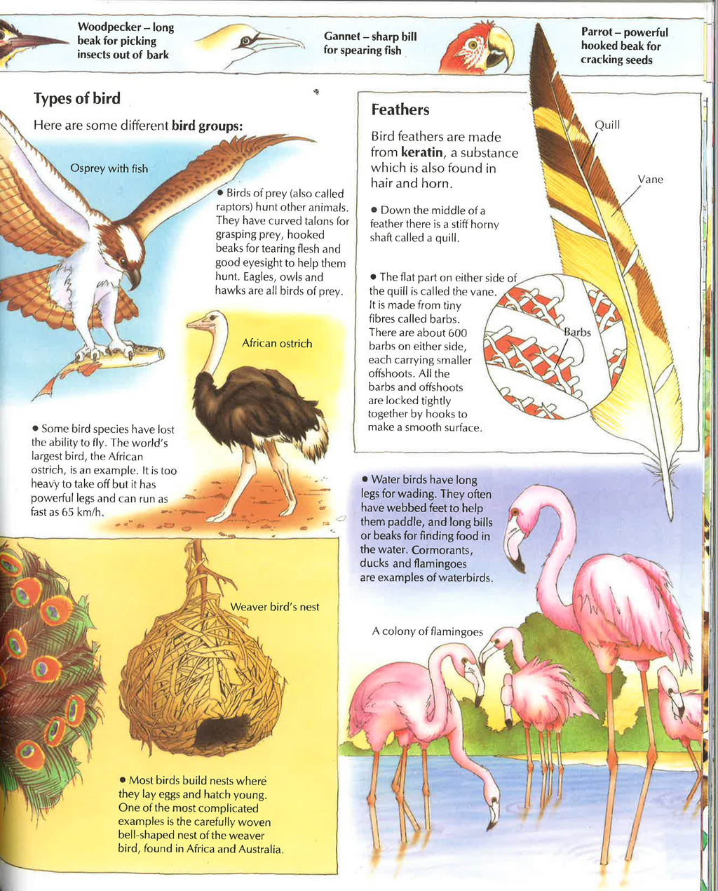 5000 Fantastic Facts