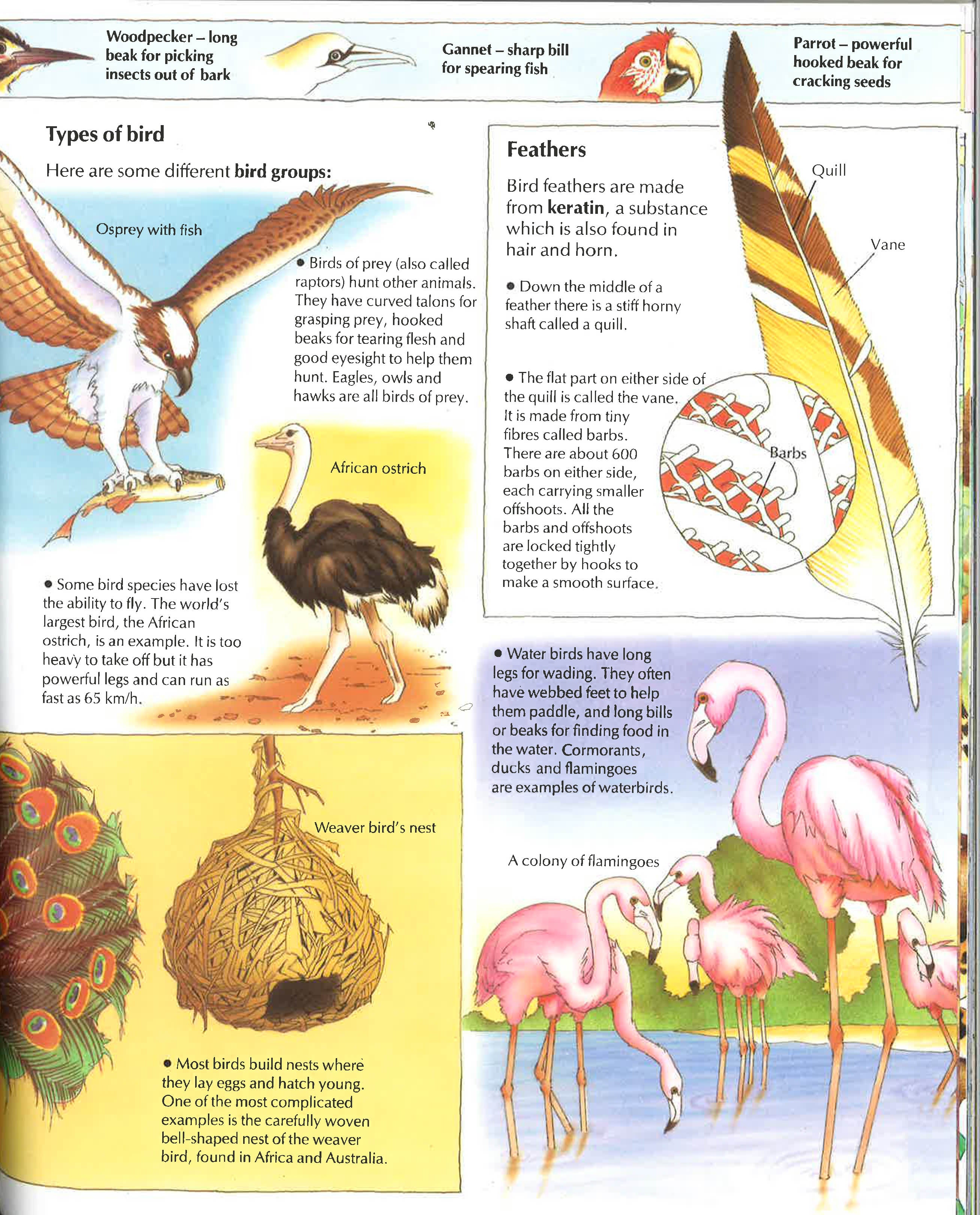 5000 Fantastic Facts