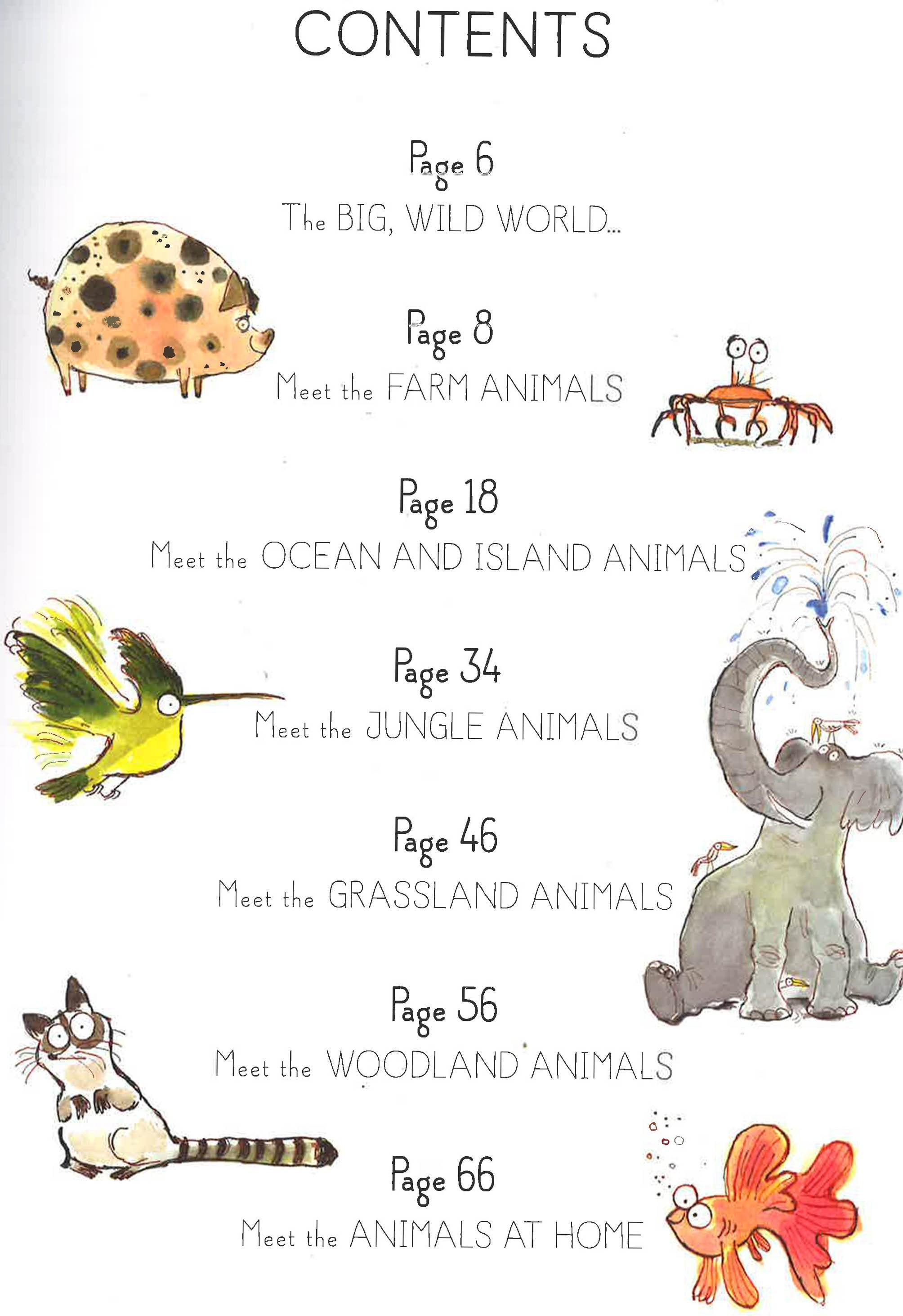 A Walk On The Wild Side