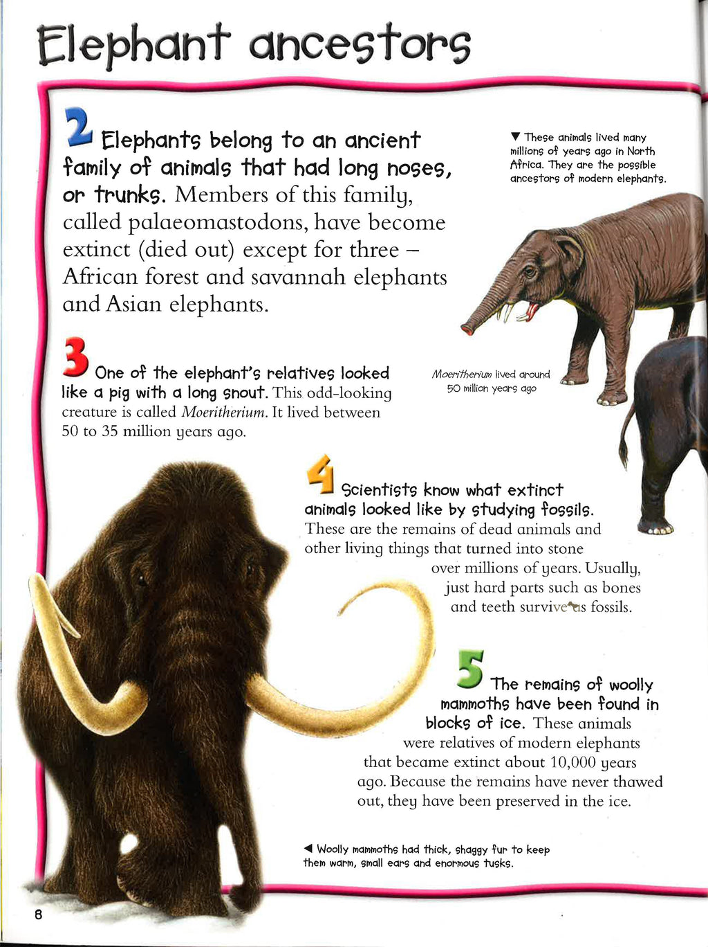 100 Facts: Elephants