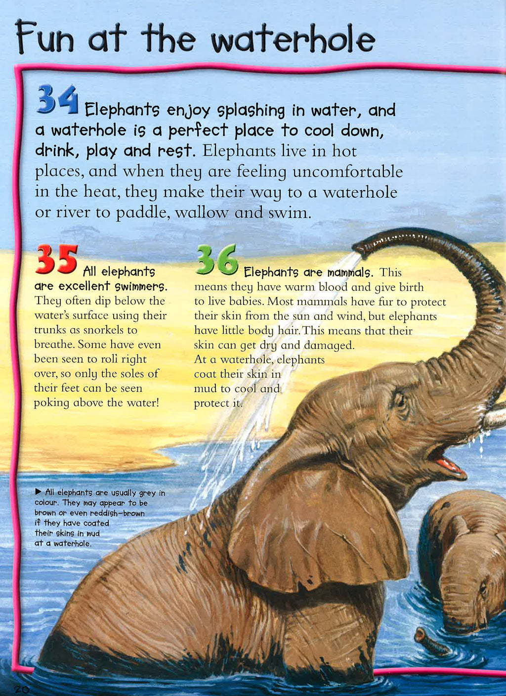 100 Facts: Elephants