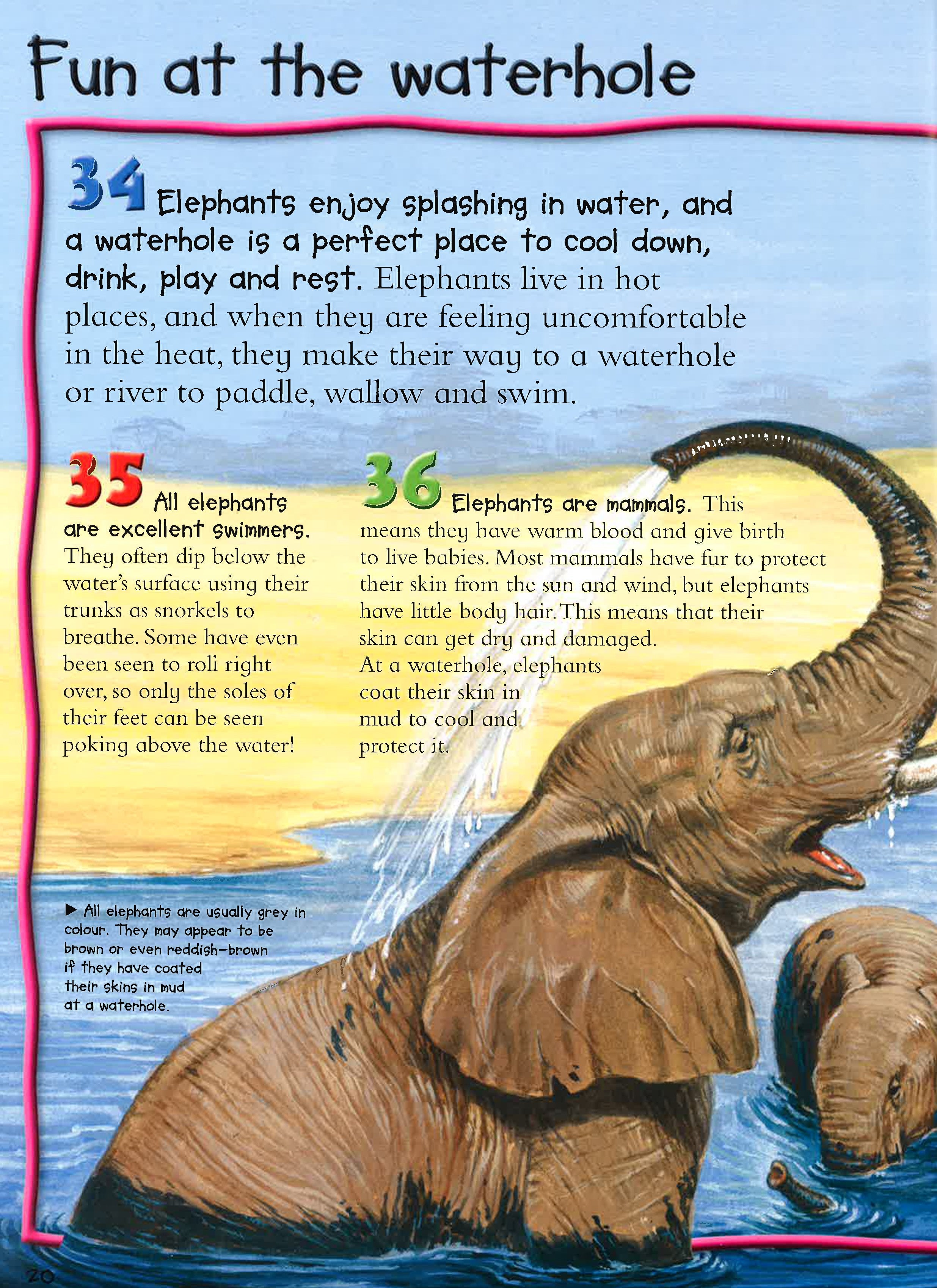100 Facts: Elephants