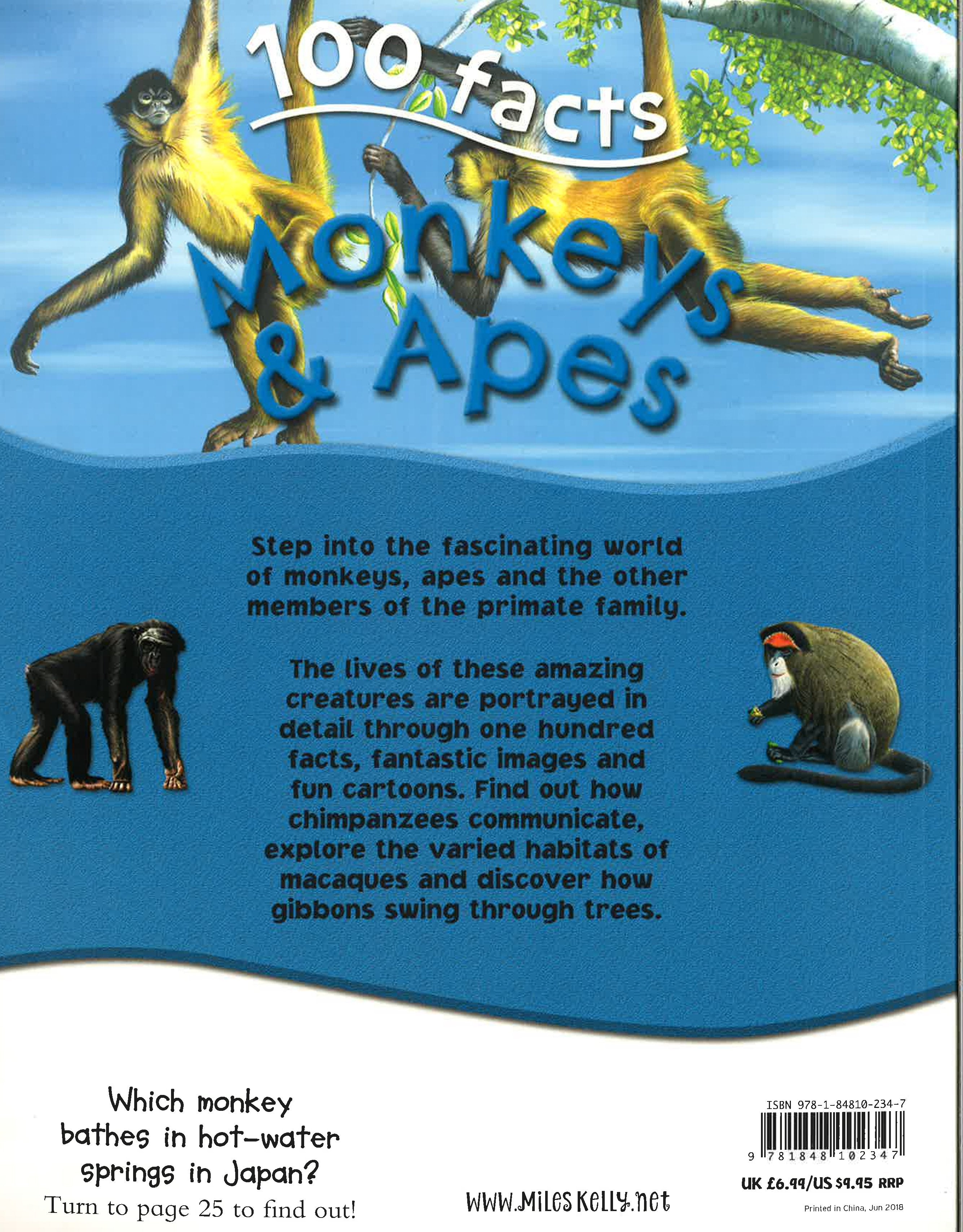 100 Facts: Monkeys And Apes