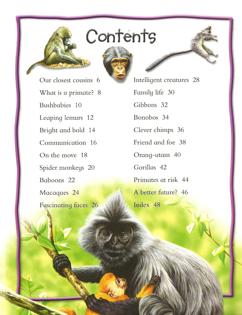 100 Facts: Monkeys And Apes