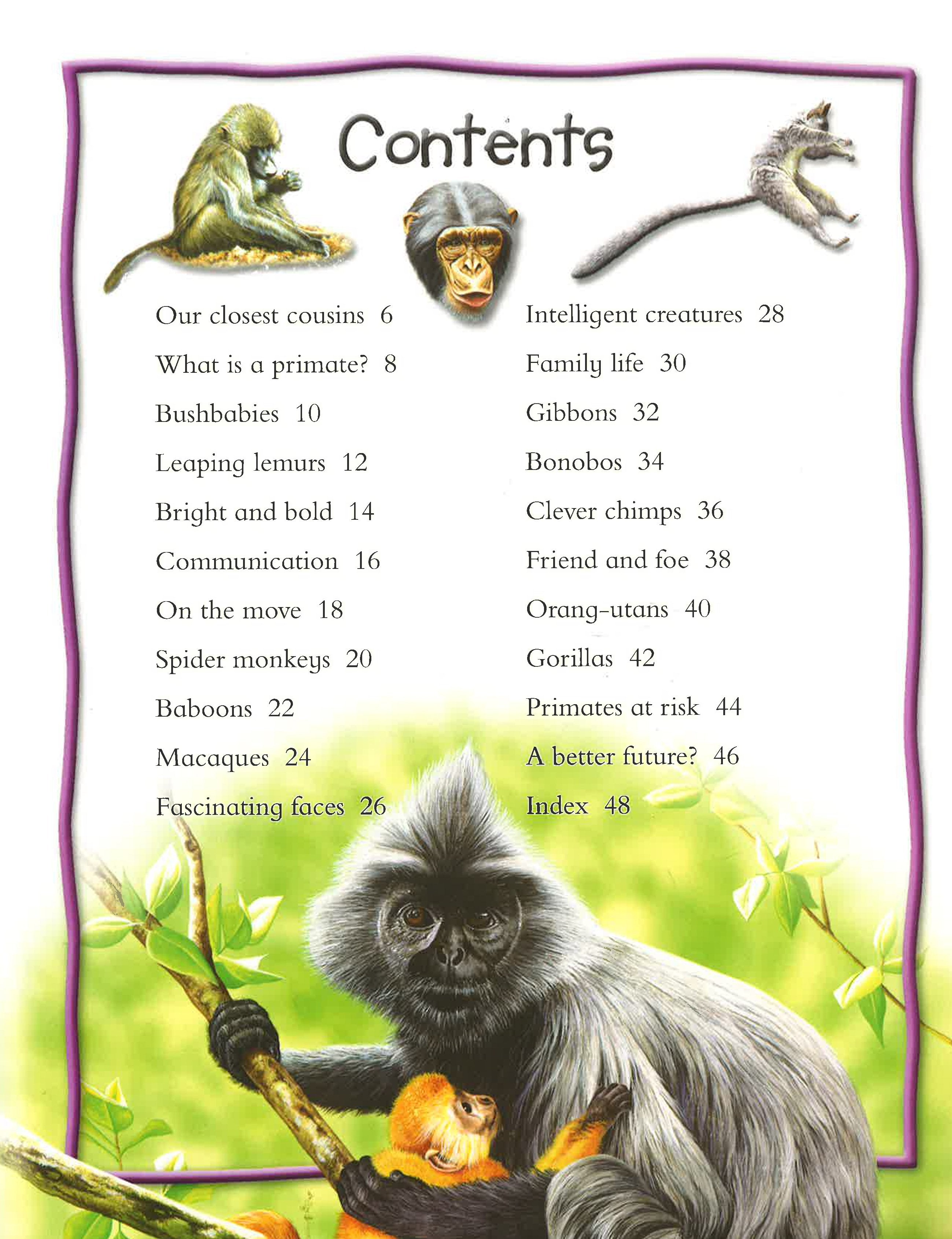 100 Facts: Monkeys And Apes