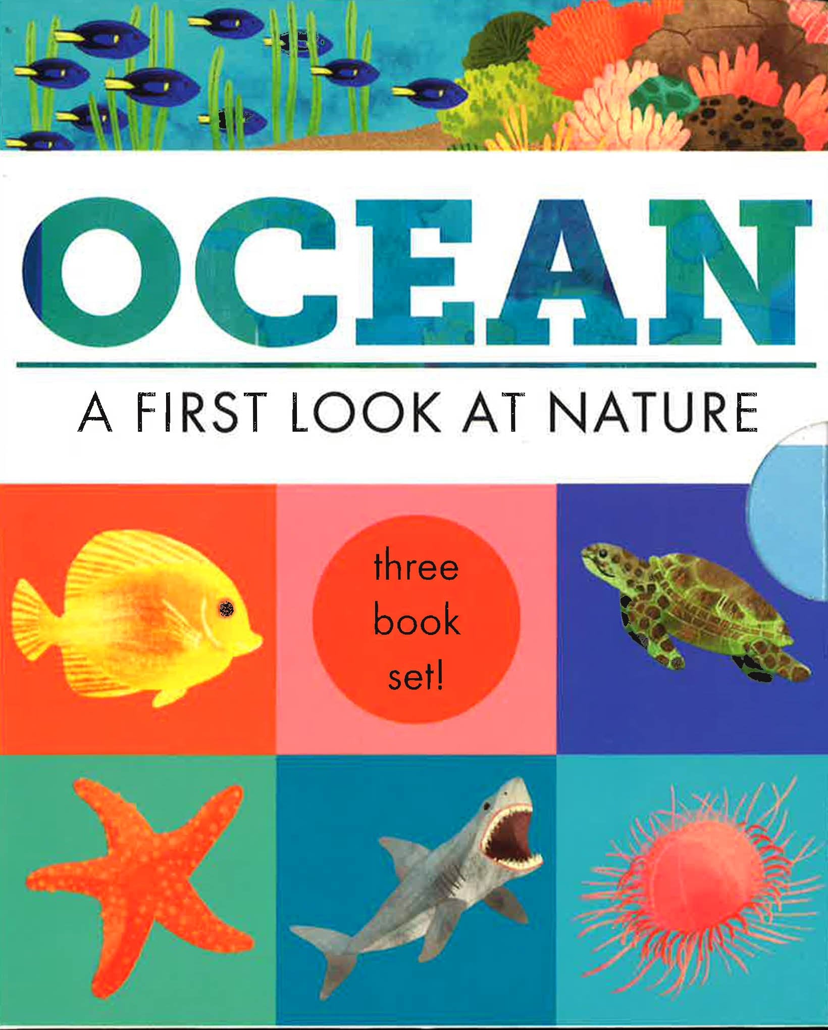 HIDDEN WORLD - 3 BOOKS IN SLIPCASE: OCEAN
