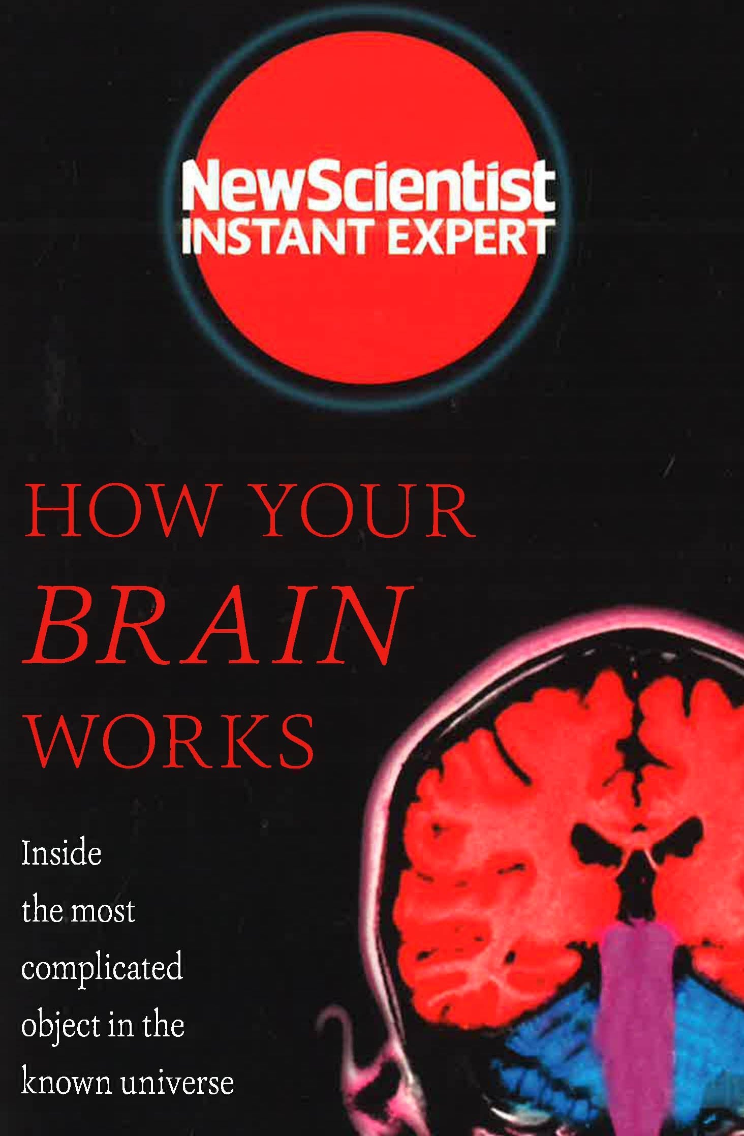 How Your Brain Works