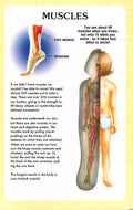 My First Book Of The Human Body
