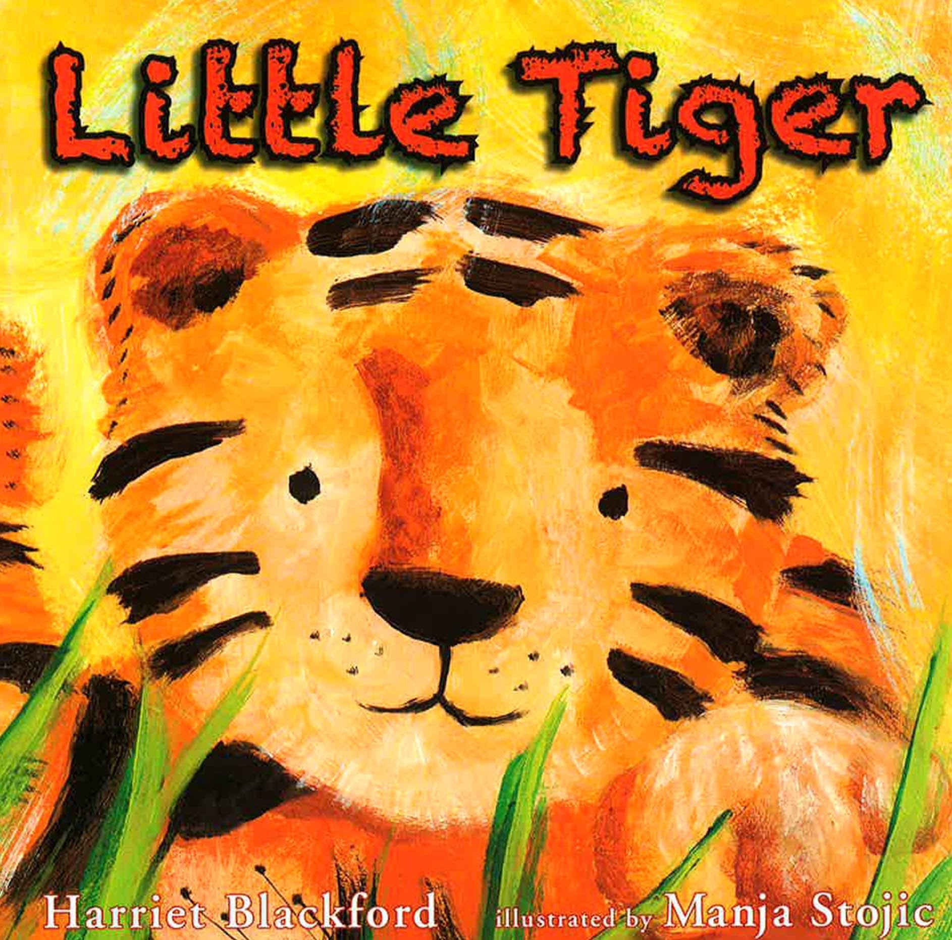Little Tiger