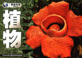 探索科学百科丛书 - 植物