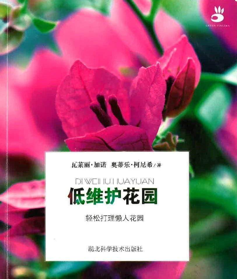 低维护花园