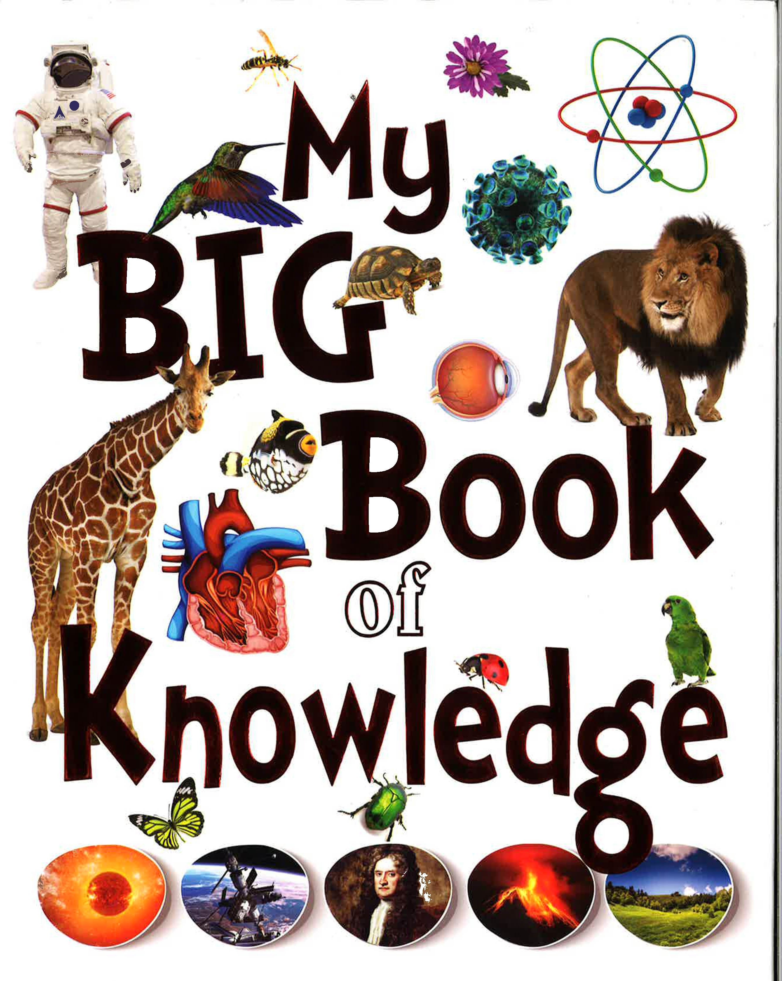 My Big Book Of Knowledge (Hb)