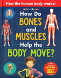 How Do Bones And Muscles Help The Body Move