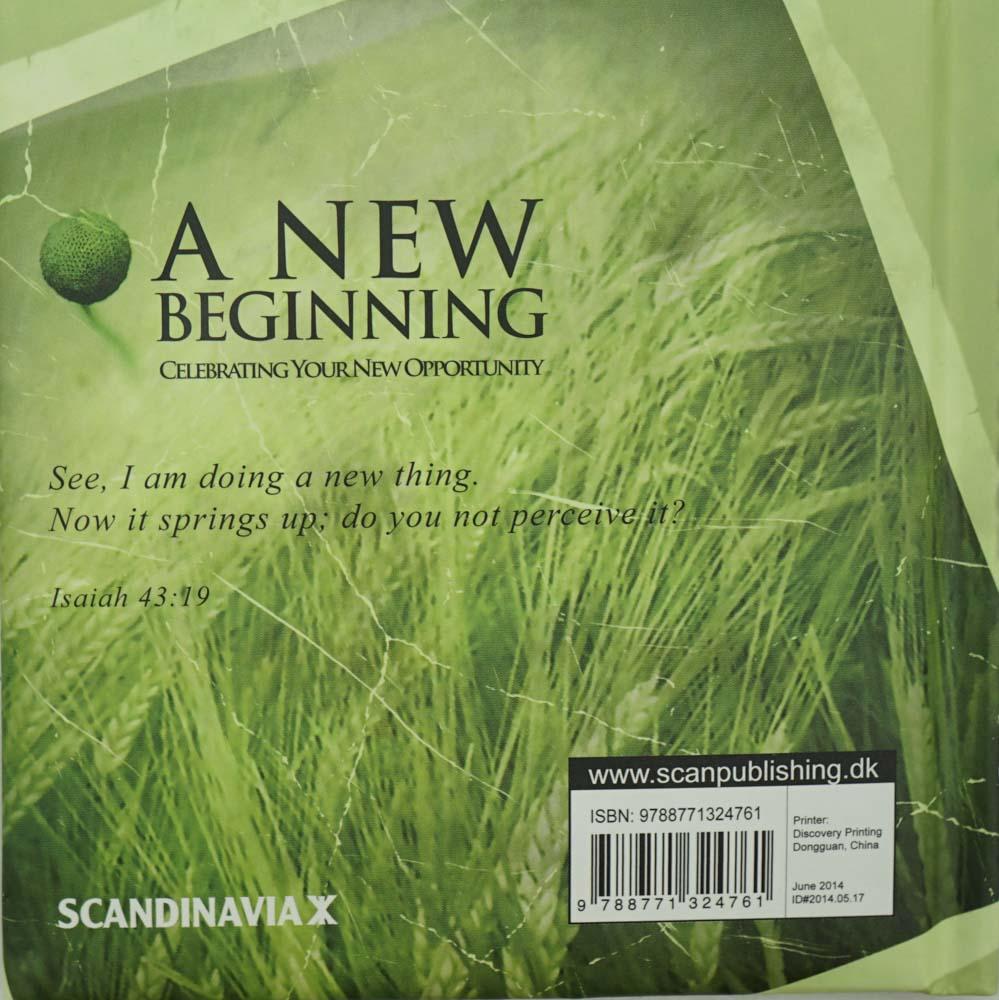 A New Beginning