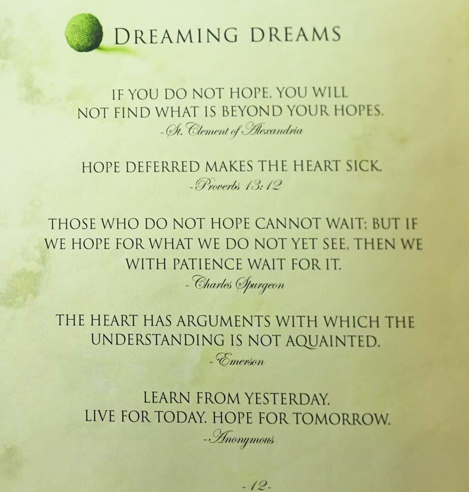 A New Beginning