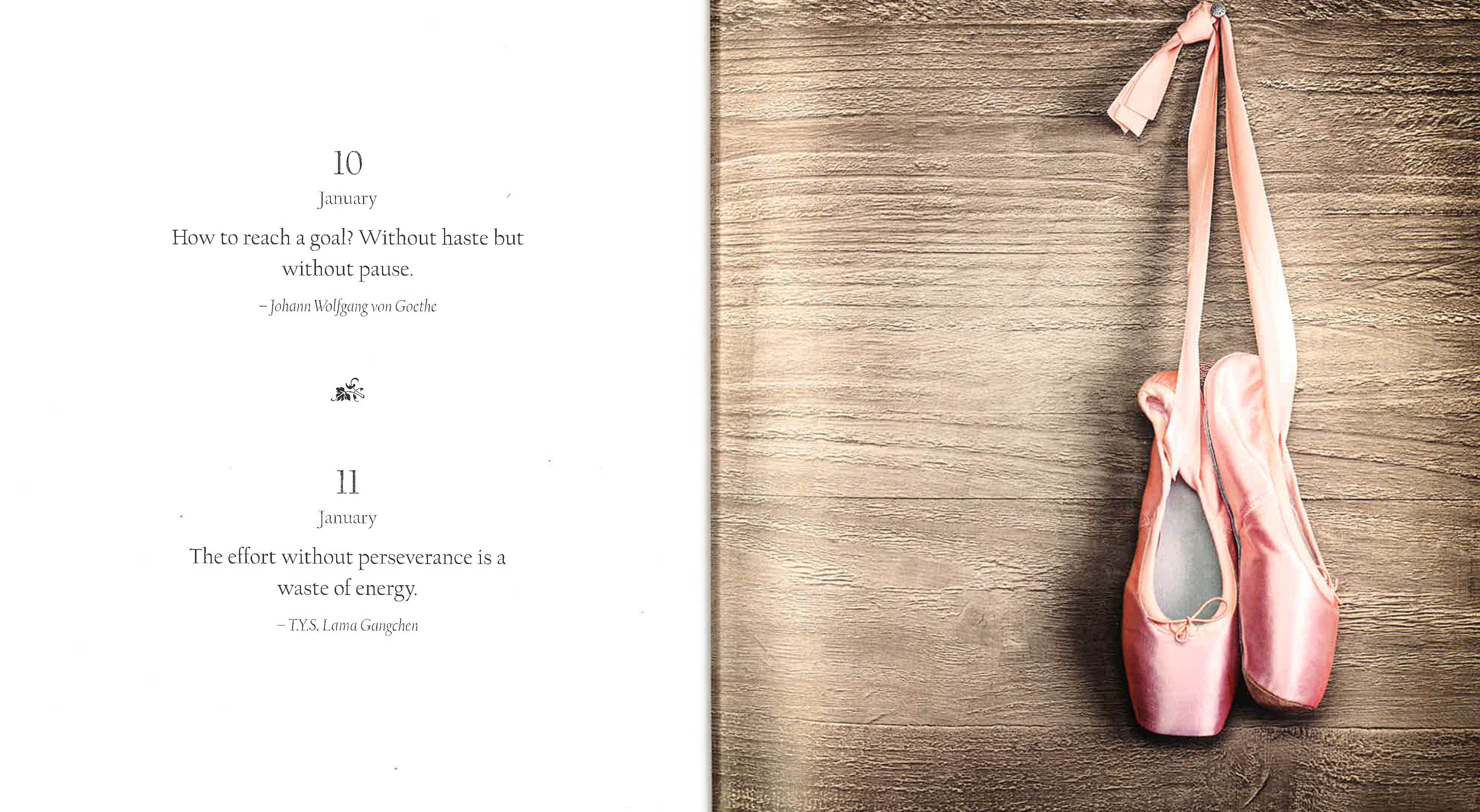 365 Inspirations For A Joyful Life