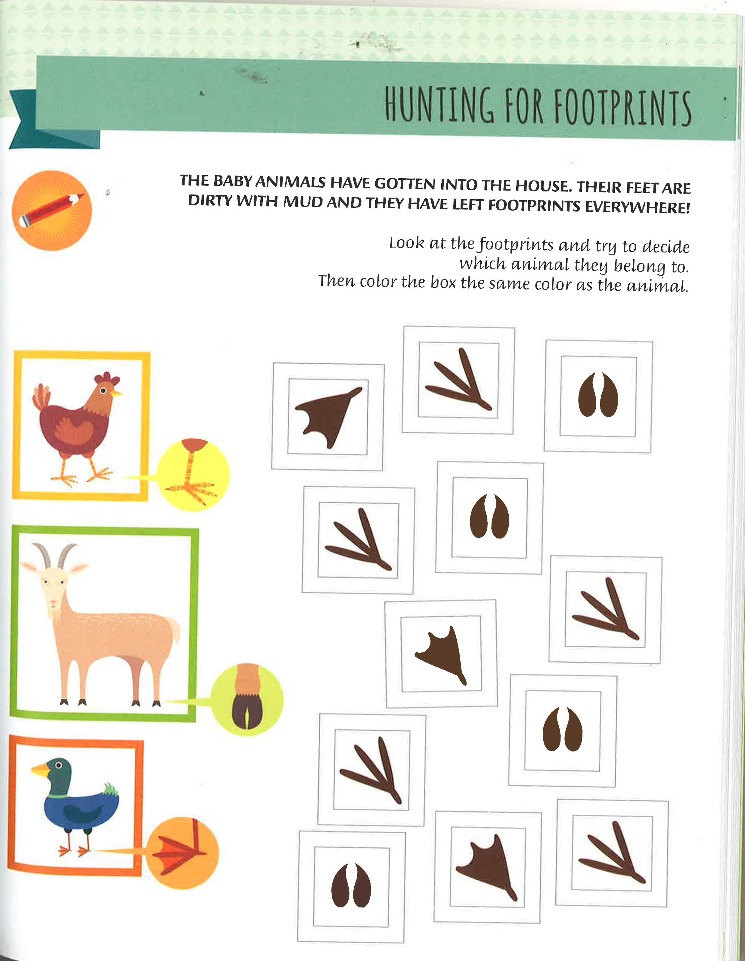 FARM (BOOK) - THE MONTESSORI METHOD