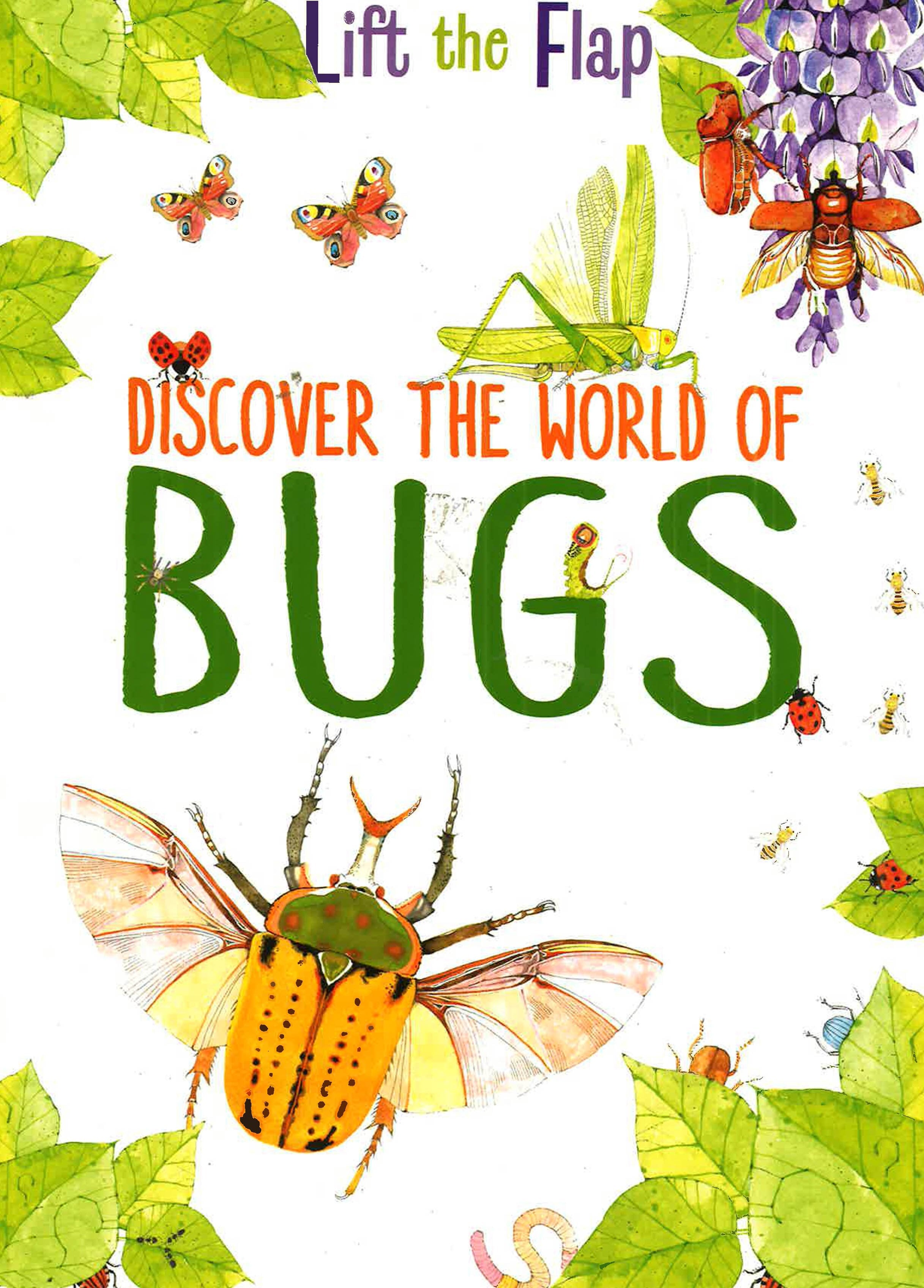LIFT THE FLAPS: BUGS