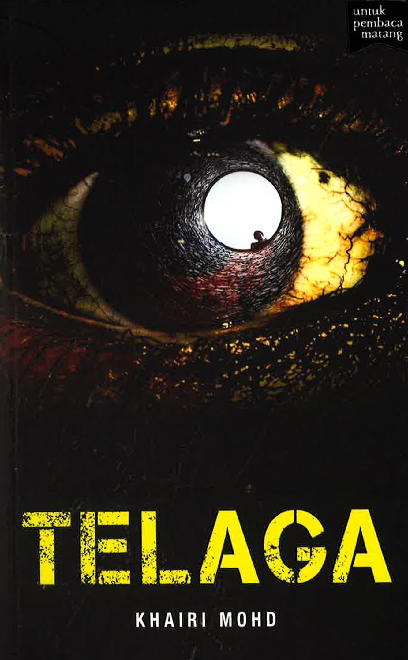Telaga