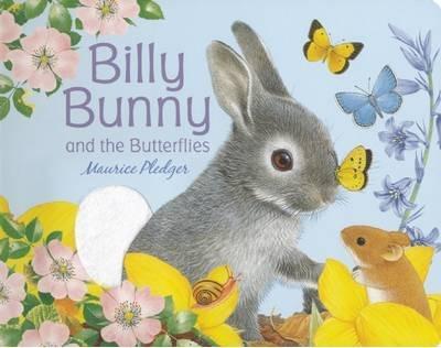 Billy Bunny And The Butterflies