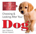 Choosing And Looking After Your Dog