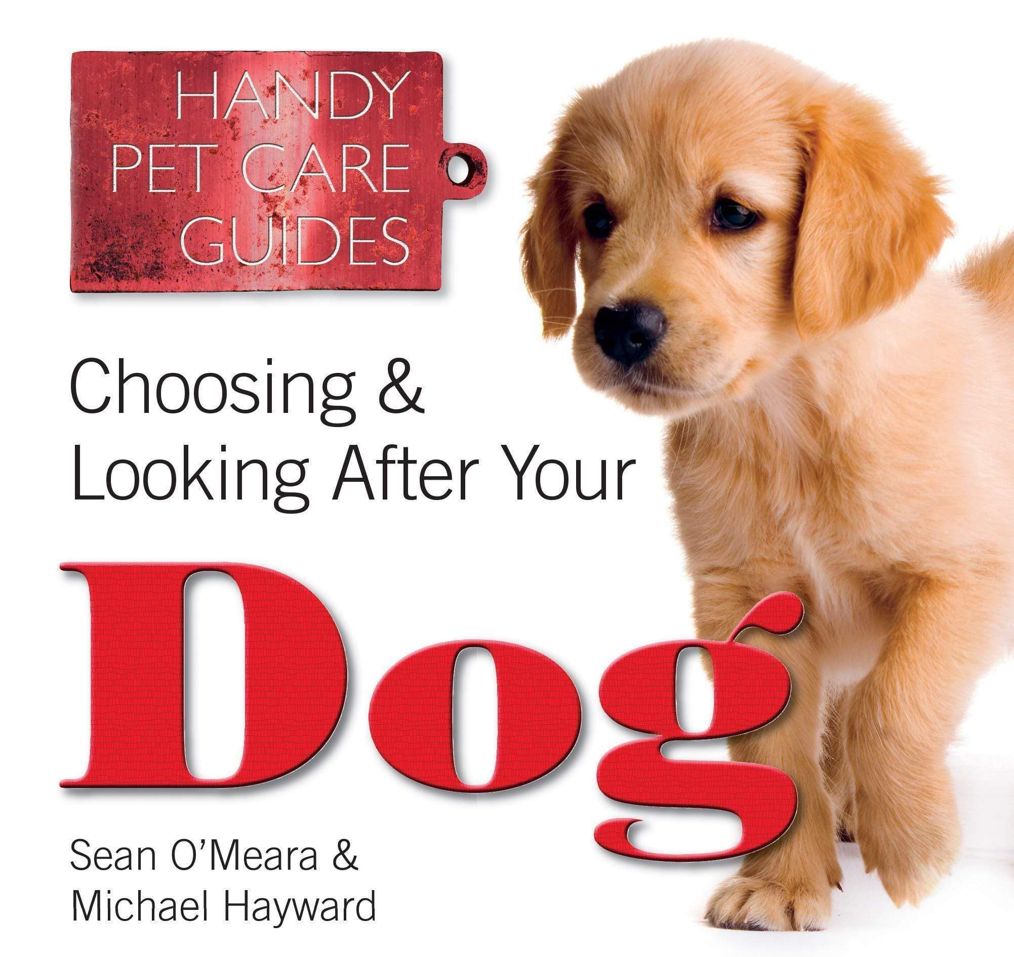 Choosing And Looking After Your Dog