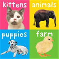 Chunky Books: Animals (4 Books)