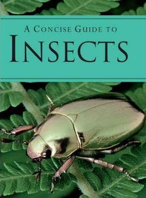 Concise Guide To Insects