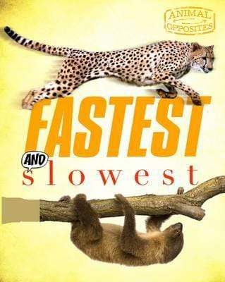 Fastest And Slowest