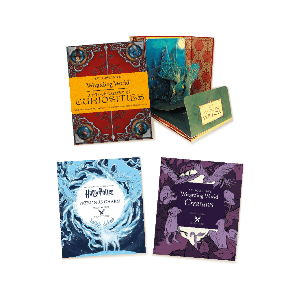 Harry Potter Movie Projection Bundle 2