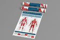 Human Anatomy Wallchart: The Muscular System