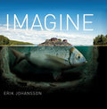 Imagine