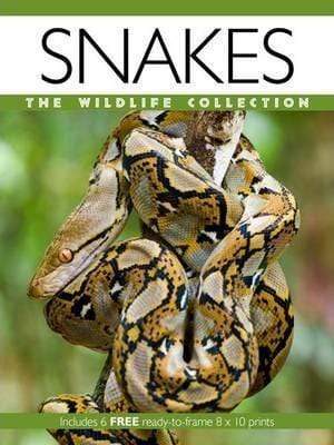 Snakes - The Wildlife Collection