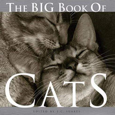 The Big Book Of Cat