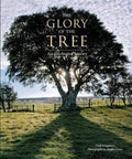 The Glory Of The Tree