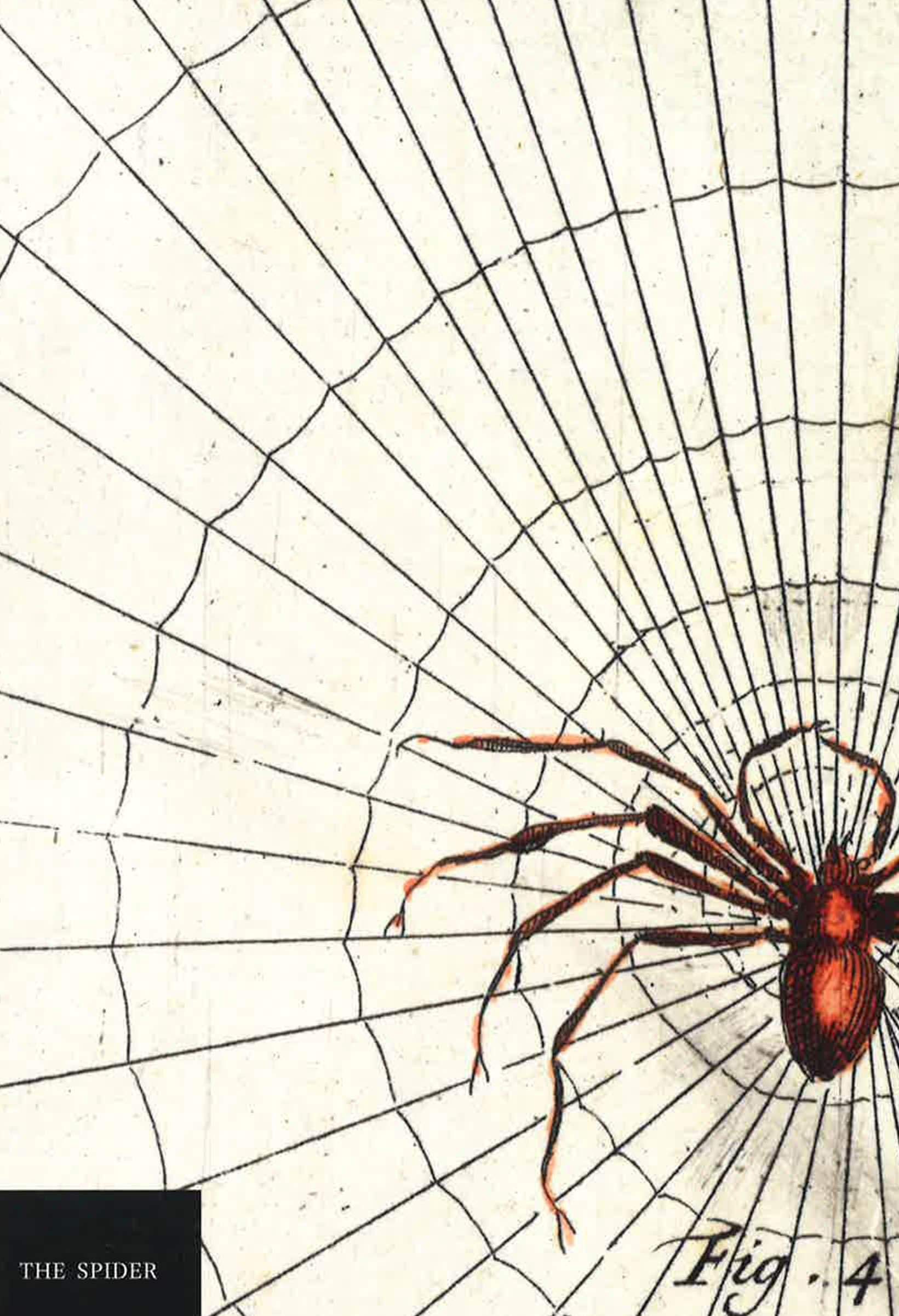 The Spider Notebook
