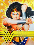 Wonder Woman: Amazon Hero Icon (Hb)